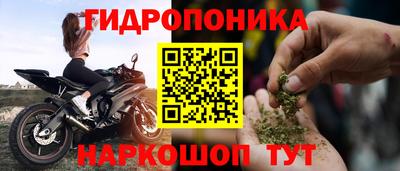 стафф Кинель