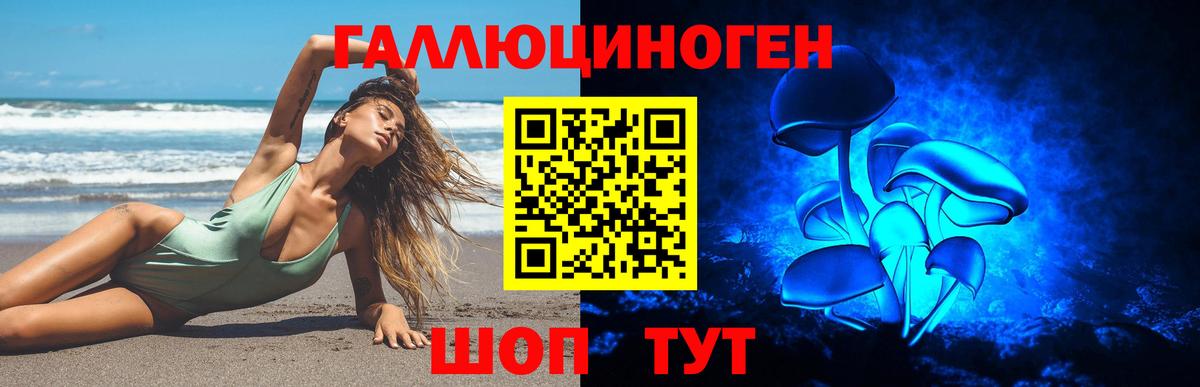 Галлюциногенные грибы мухоморы Красноярск